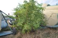 Photo Number 6